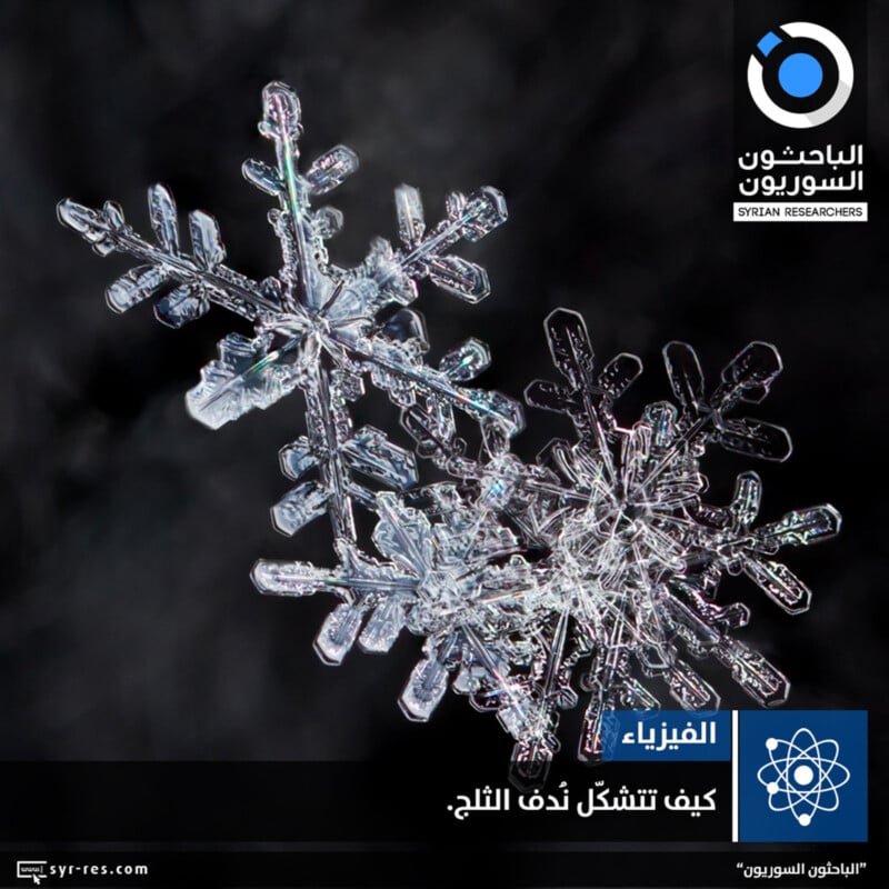 Close-up image of detailed, crystalline snowflakes against a dark, blurred background. Arabic text overlays include "كيف تتشكل ندَف الثلج؟" at the bottom and a circular blue and white logo in the top right corner.