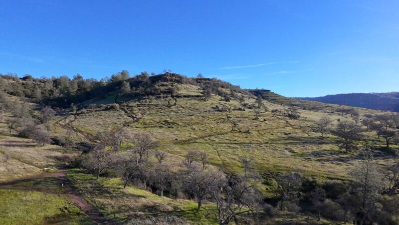 A scenic view of a green hill with scattered trees under a clear blue sky. Winding paths are visible, leading up the hillside. In the background, more hills are partially covered with trees.