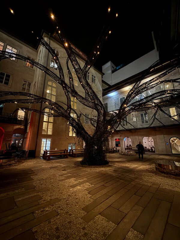 A large metal tree sculpture with illuminated branches stands in the center of a cobblestone courtyard surrounded by historic buildings at night.