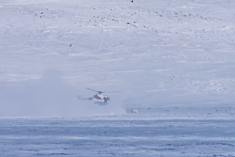 A helicopter hovers low over a vast, snowy landscape, stirring up snow. A polar bear stands on the ground in front of the helicopter amid the icy terrain.