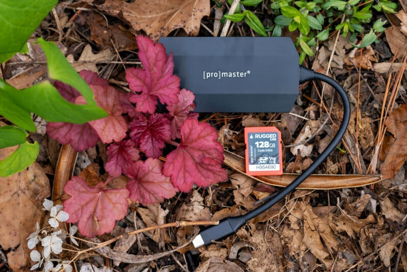 A black ProMaster card reader with a USB-C cable and a 128 GB SD card are placed on brown leaves and surrounded by green and red foliage.