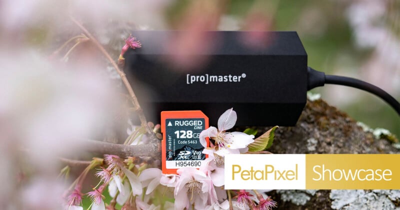 A ProMaster device and a rugged 128GB SD card rest on a mossy branch with blooming cherry blossoms. The image features the Petapixel Showcase logo in the corner.