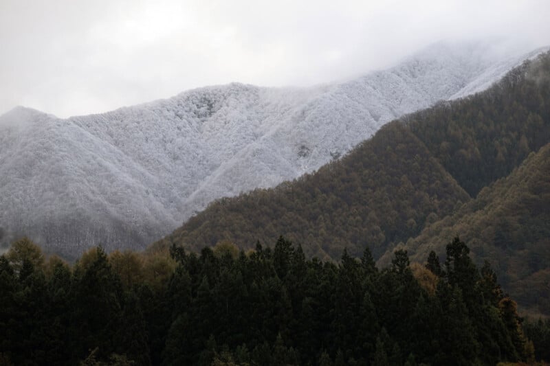 Snow-dusted mountain slopes rise behind a forest of evergreen and deciduous trees, with clouds and mist partially obscuring the peaks.